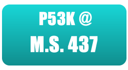 MS437