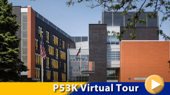 Virtual Video P53K