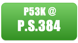 PS384